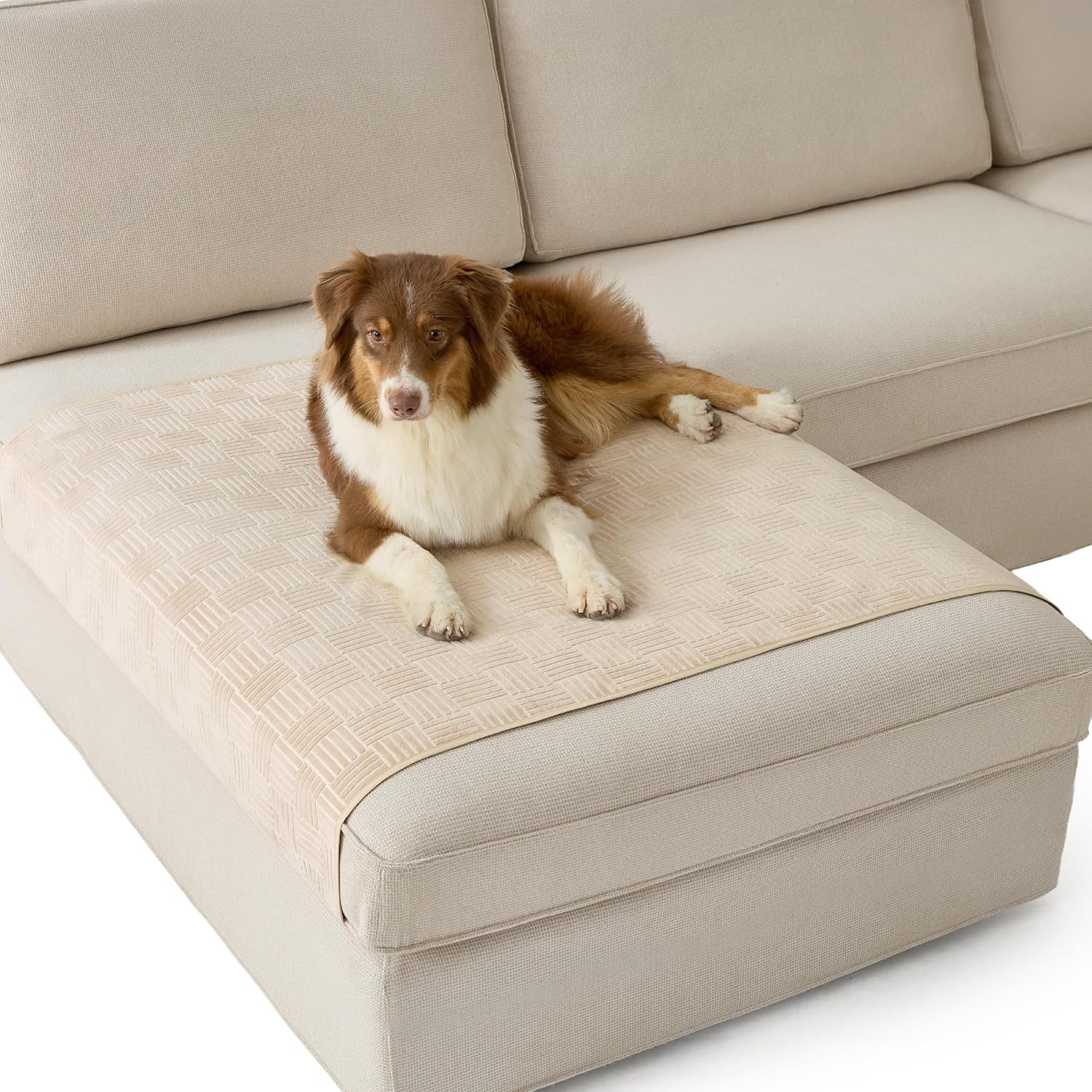 Lightweight Pet Couch Cover - Image 13