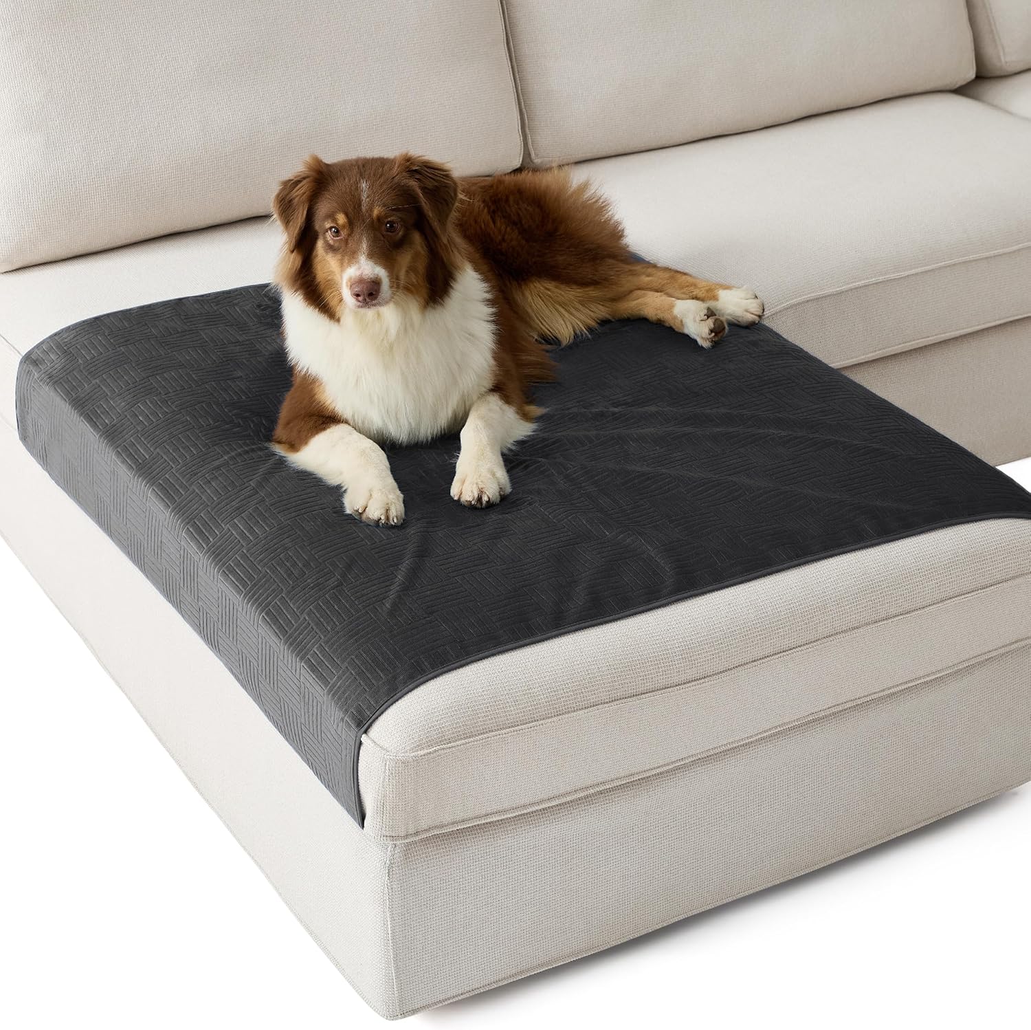 Lightweight Pet Couch Cover - Image 8