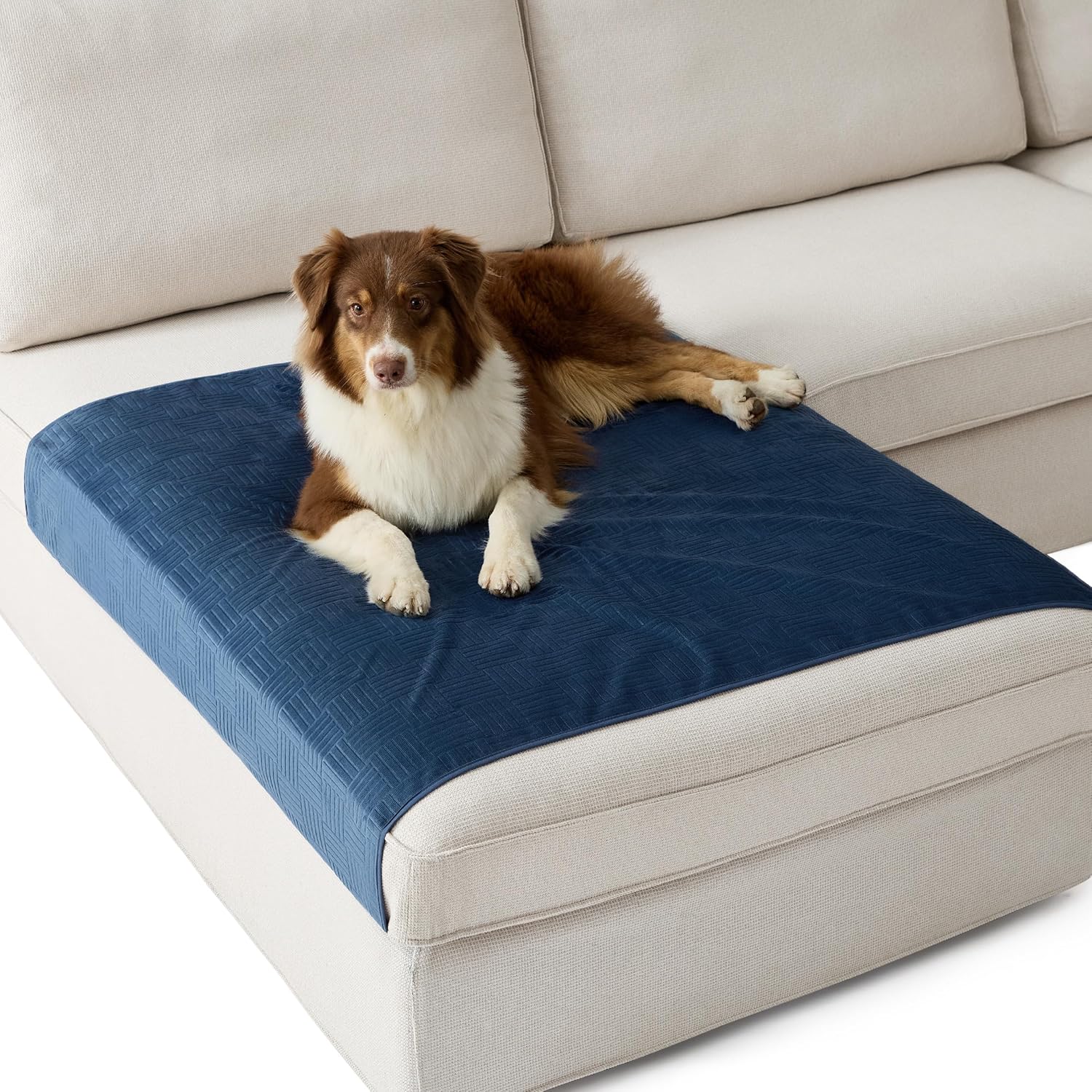 Lightweight Pet Couch Cover - Image 10